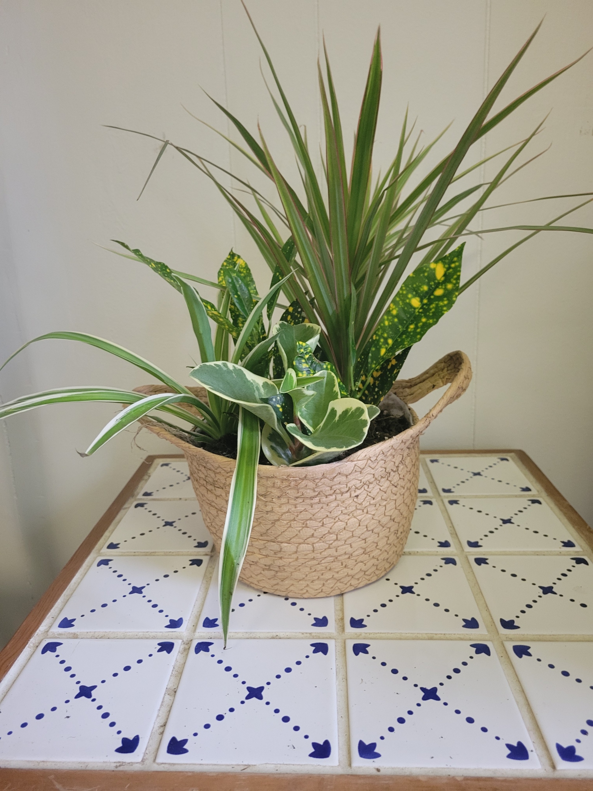 planter basket planter basket scaled