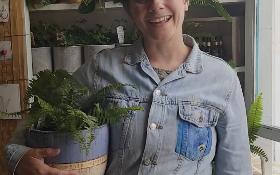 Fern Plant